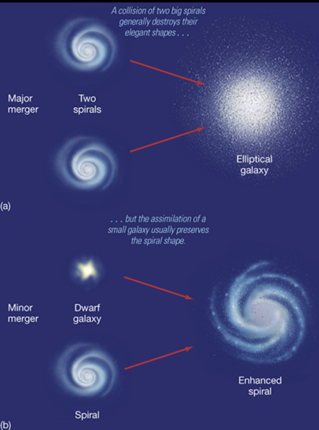 <p>Occurs between galaxies of similar size.</p><p>Ex: Two large spirals come together to form elliptical</p>