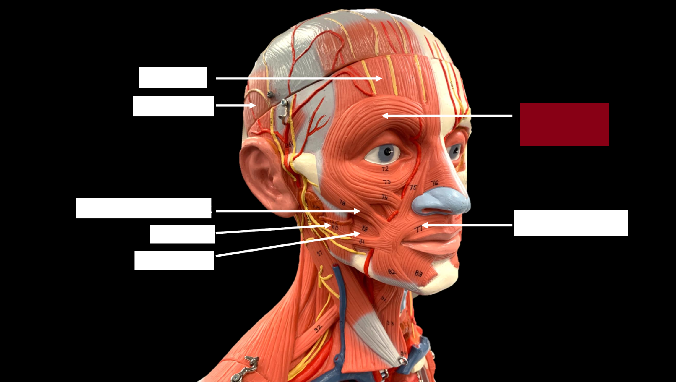 <p>WHAT IS THE NAME OF THE RED HIGHLIGHTED PART?</p>