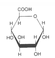 <p>nom et caractéristique</p>