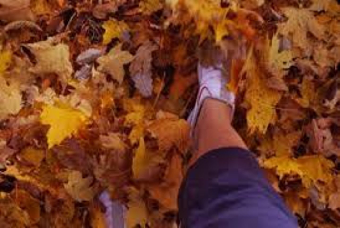 <p>(nature English) tạo tiếng sột soạt Ví dụ: Leaves made a rustling sound in the wind.</p>
