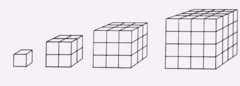 <p>as size increases, shape stays the same</p>