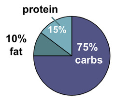 <p>What kind of diet is this</p>