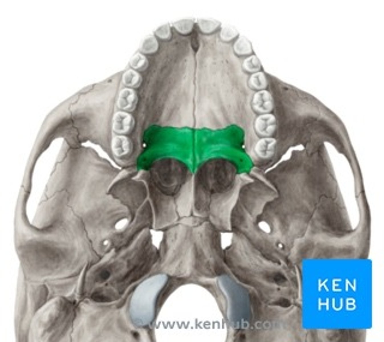 knowt flashcard image