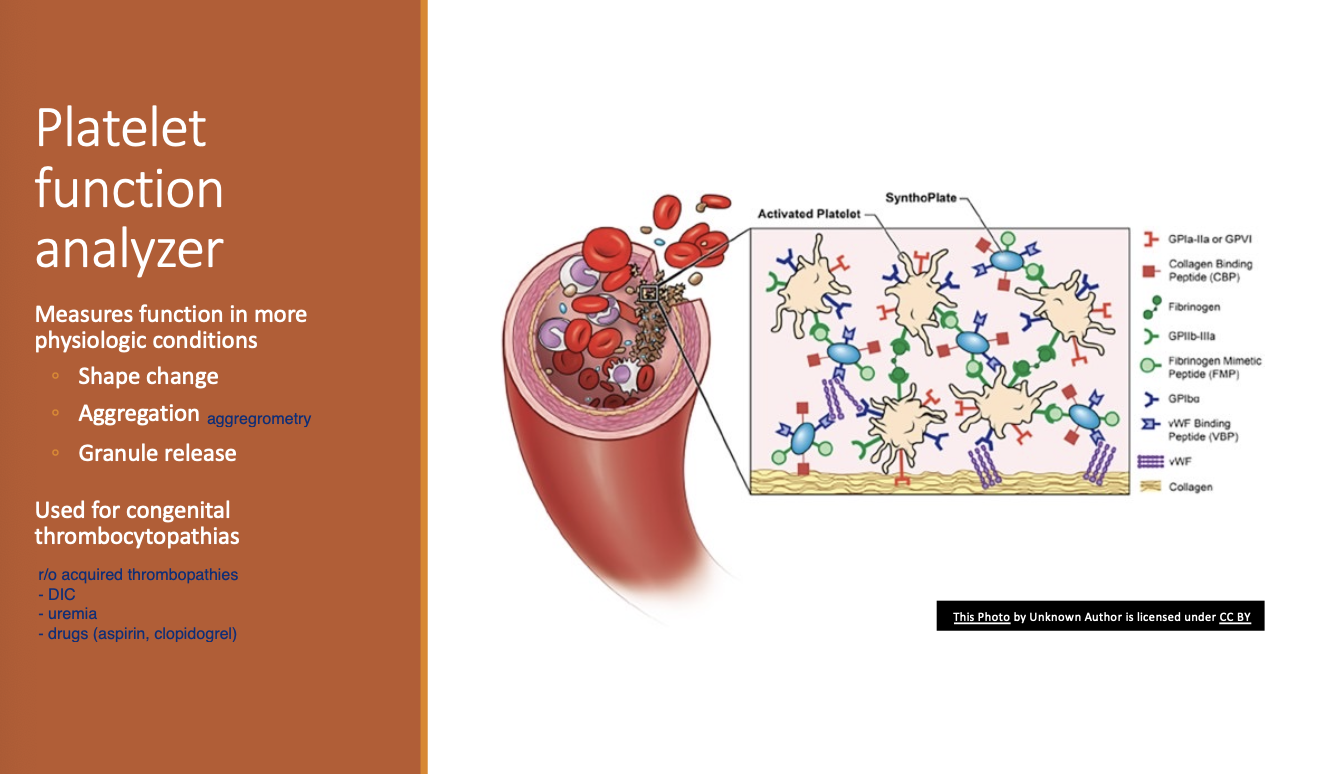 <p>congenital thrombocytopathia</p>