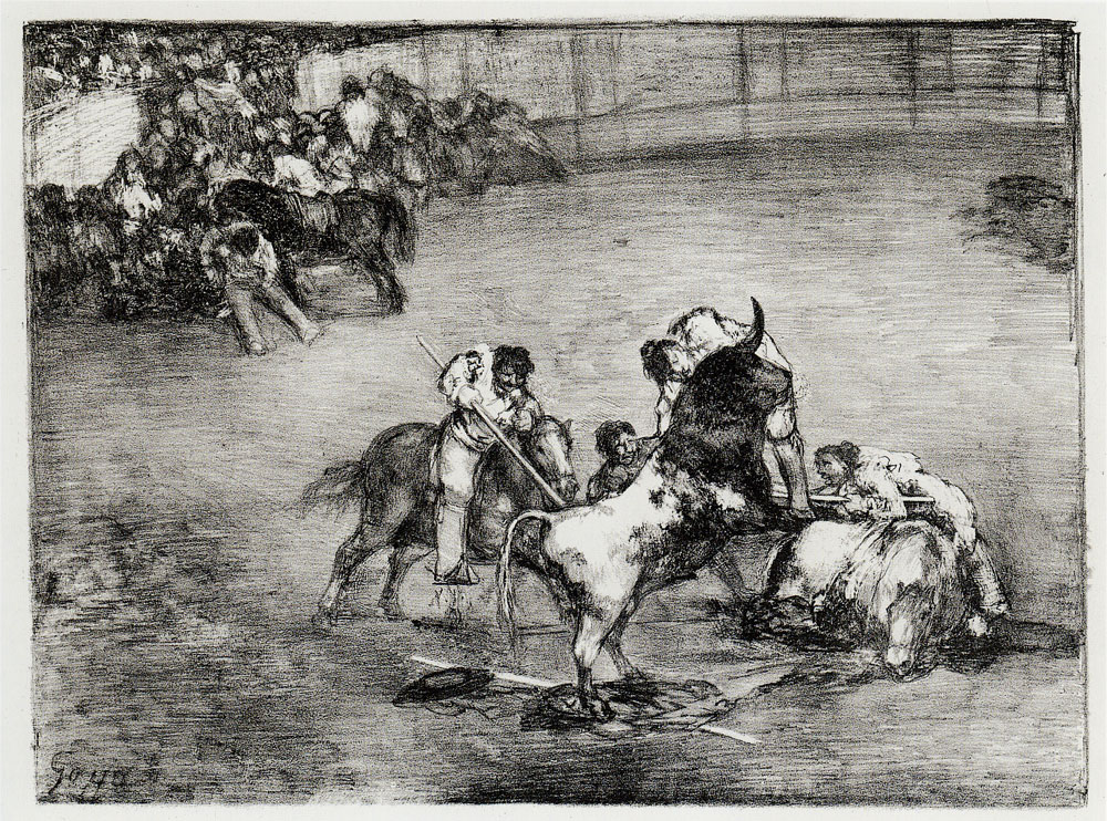 <p>Bravo toro, divided ring </p>