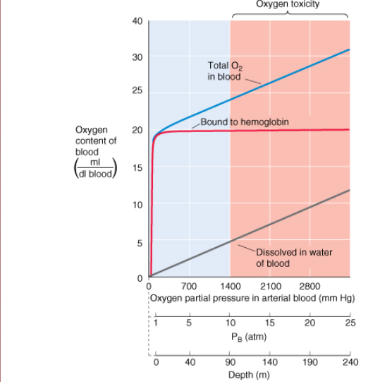 <p>almost fully saturated </p><p><span style="background-color: transparent;">Increasing pressure, any extra O<sub>2</sub> is dissolved in the plasma.</span></p>