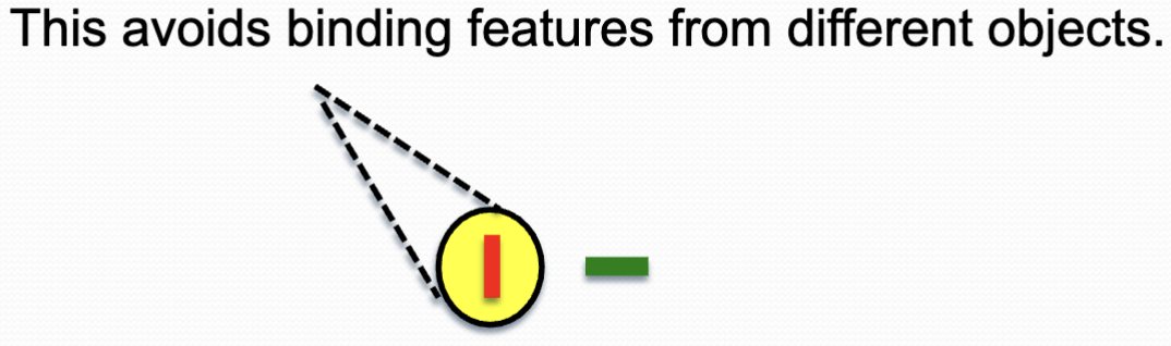 <p>suggests that the binding problem is solved by attending to only one location at at time.</p><ul><li><p>only features assoc. with that location are processed and so only those bound tgt</p></li></ul><p></p>