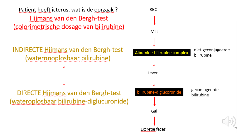 <p><span>De pt is icterisch:</span></p><p style="text-align: left;"></p><p><span>•Kan bv door een te snelle afbraak van RBC (hemolyse)</span></p><p><span>•Kan liggen aan een probleem met de conjugatie in de lever (bv je hebt geen lever meer, leverfalen, er is een probleem met het enzym dat de glucuronidatie moet uitvoeren…)</span></p><p><span>•Als we vooral wateroplosbaar bilirubine zien moet er een probleem zijn na de conjugatie en dus thv de afvoerwegen van de lever: de galwegen.</span></p><p style="text-align: left;"><span>Zo zien we soms bv als er een probleem is met de galafvoer uit de lever, dat de pt’en icterisch worden en de stoelgang stopverfkleurig wordt (beige ipv bruin).</span></p><p style="text-align: left;"><span>Dit doordat er onvoldoende bilirubine in de stoelgang is gekomen en de stoelgang dus ook niet gekleurd kan worden door het bilirubine.</span></p><p style="text-align: left;"><span>We zien dan vaak dat de urine donkergekleurd wordt en dat de pt icterisch is.</span></p><p style="text-align: left;"></p><p style="text-align: left;"><span>Als we dus adhv die Hijmans van den Bergh-test het wateroplosbaar en wateronoplosbaar bilirubine kunnen meten, kunnen we ongeveer zien waar het probleem zit.</span></p>