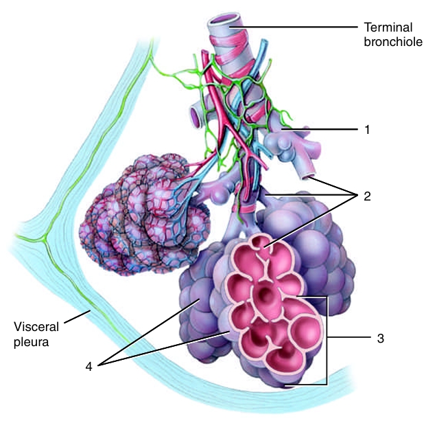 <ol start="2"><li><p></p></li></ol><p></p>