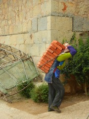 <p>llevan</p>