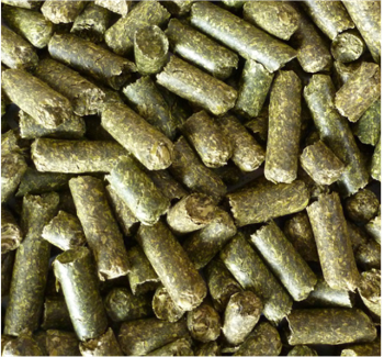 <p>alfalfa pellets</p>