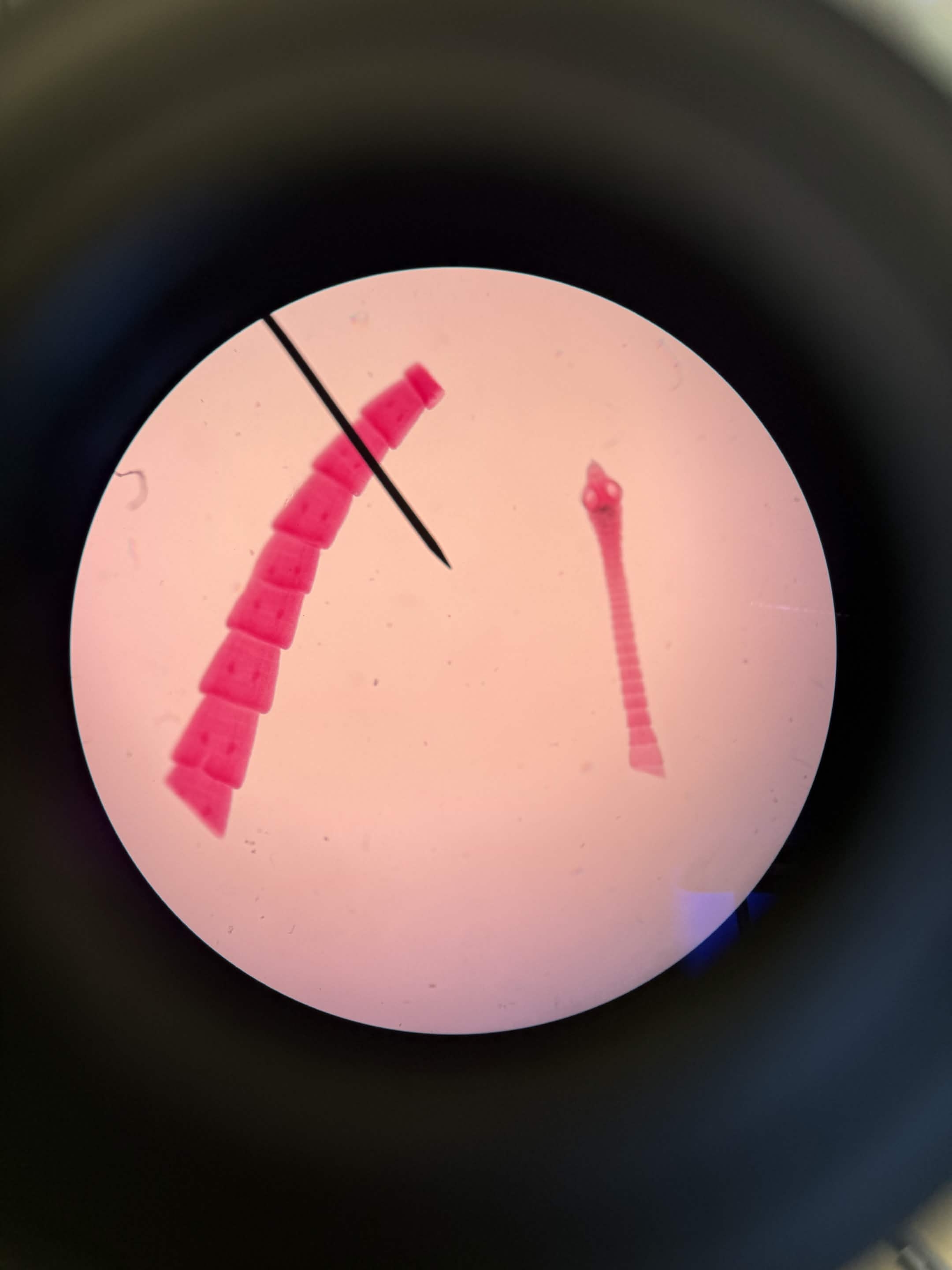<p>What is this?</p>