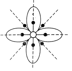 <p>Id floral symmetry?</p>