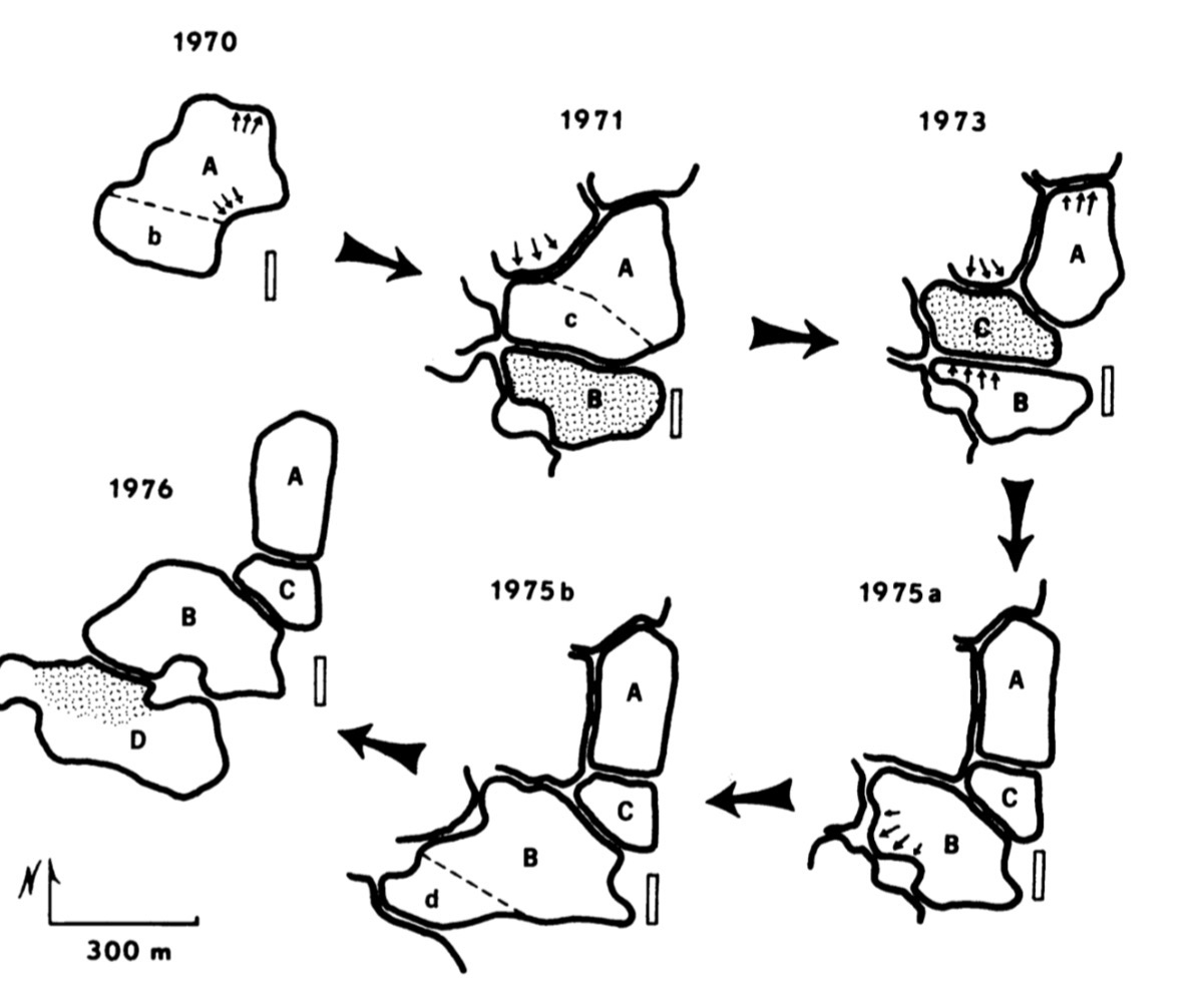 <p>Woolfenden and Fitzpatrick 1978</p><p>Over time, individuals maintained and grew territories</p><p>An example of territorial budding</p>