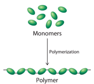<p>Most macromolecules are</p><p>polymers</p><p>• Composed of chains of</p><p>similar units monomers</p><p>(building blocks)</p>
