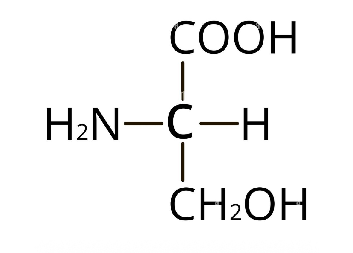<p>what amino acid</p>