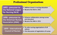<p>- The precursor to the National League for Nursing (NLN).</p><p>- Focus: Nursing education issues</p><p>- Became the NLN in 1952</p><p>Need to know*</p>