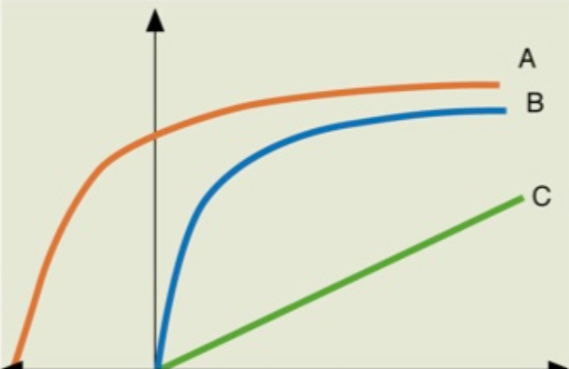 <p>What type of transport is B</p>