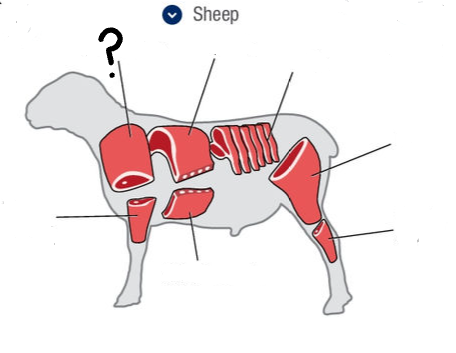 <p>What is this cut of meat?</p>