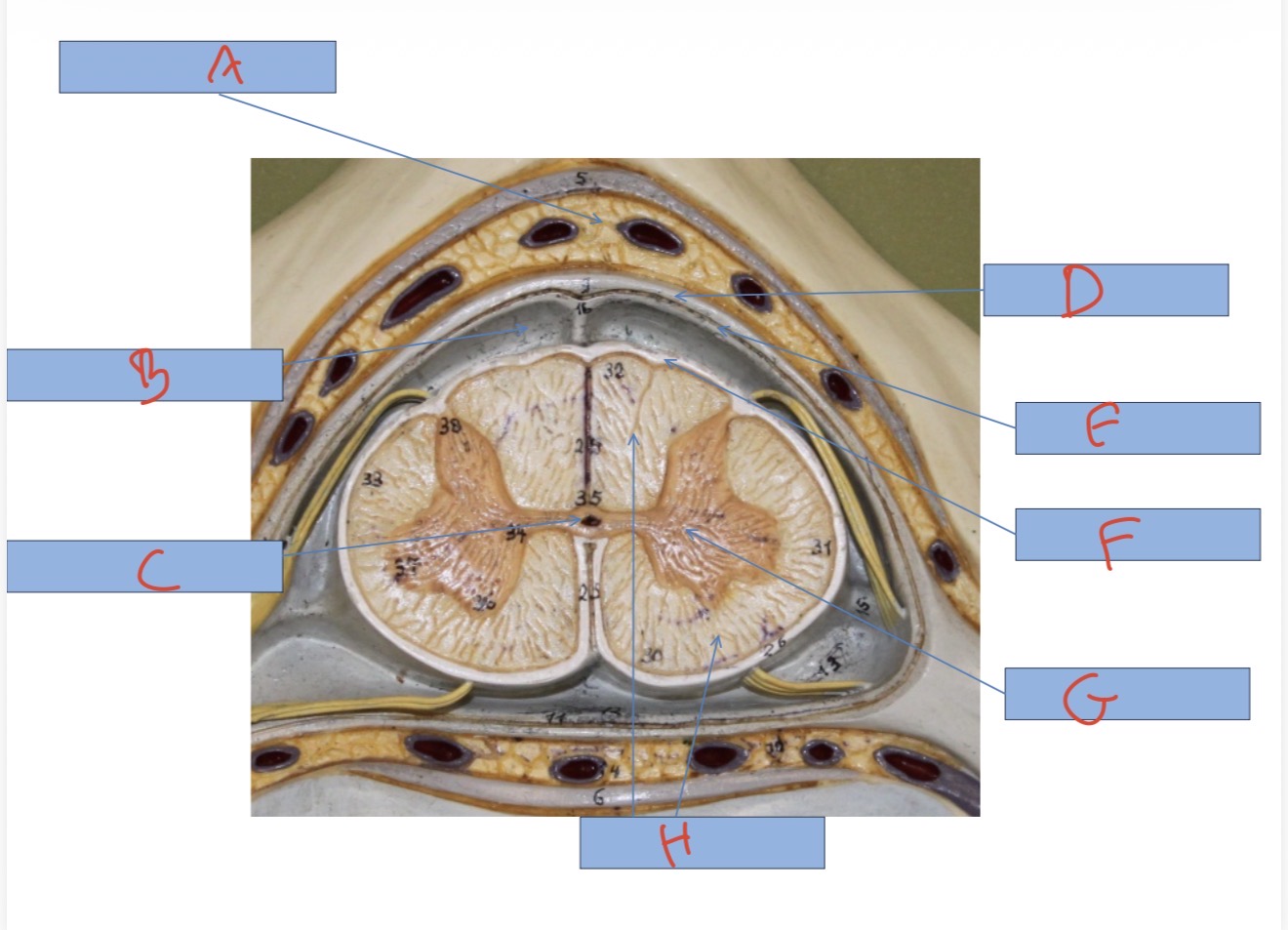 <p>What is E?</p>