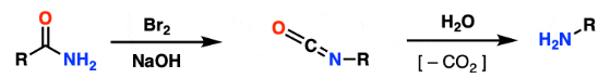 <p>Identify the mechanism</p>