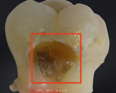 <p>What is the classification?</p>