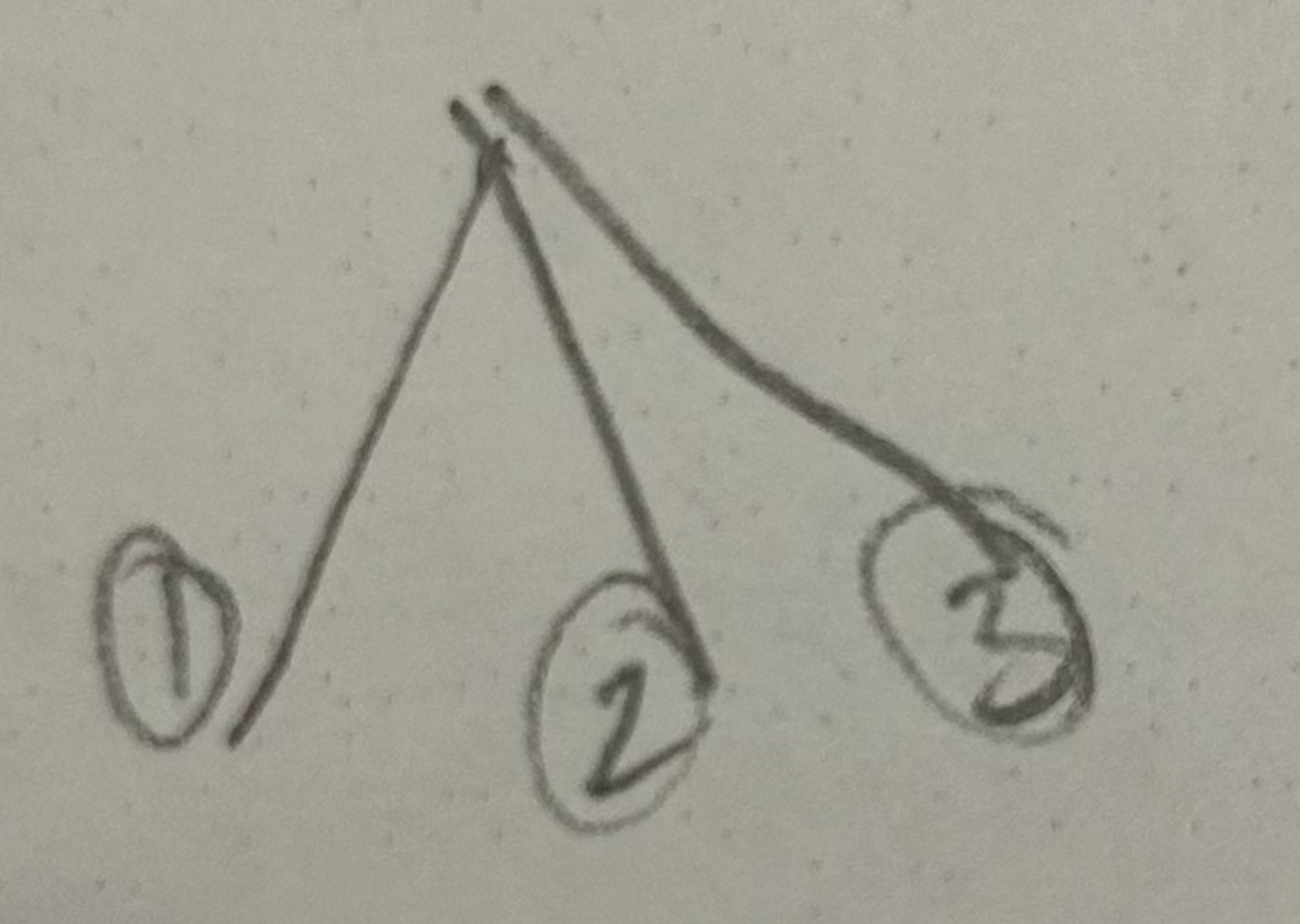 <p>1 (from posterior cord)</p>