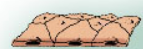 <p>what type of epithelium is shown?</p>