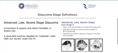 <p>What does a VF look like with advanced glaucoma as defined by ICD-10?</p>