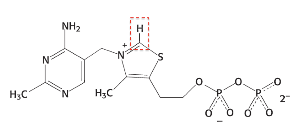 <p>What is this structure?</p>