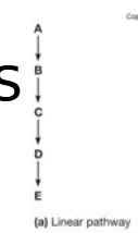 <p>has clear starting and end product</p>