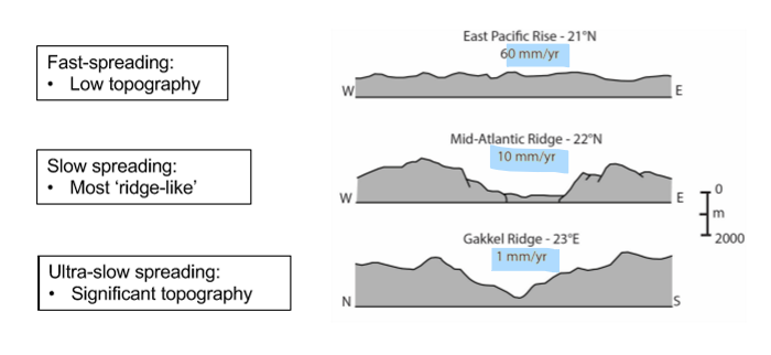 <p>Fast Rate = rise in the middle (smooth)</p><p>Slow Rate = low in the middle (rough)</p>