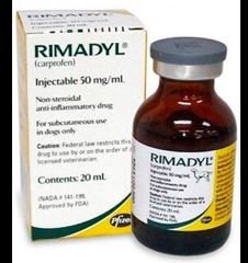 <p>Carprofen (Rimadyl).</p>