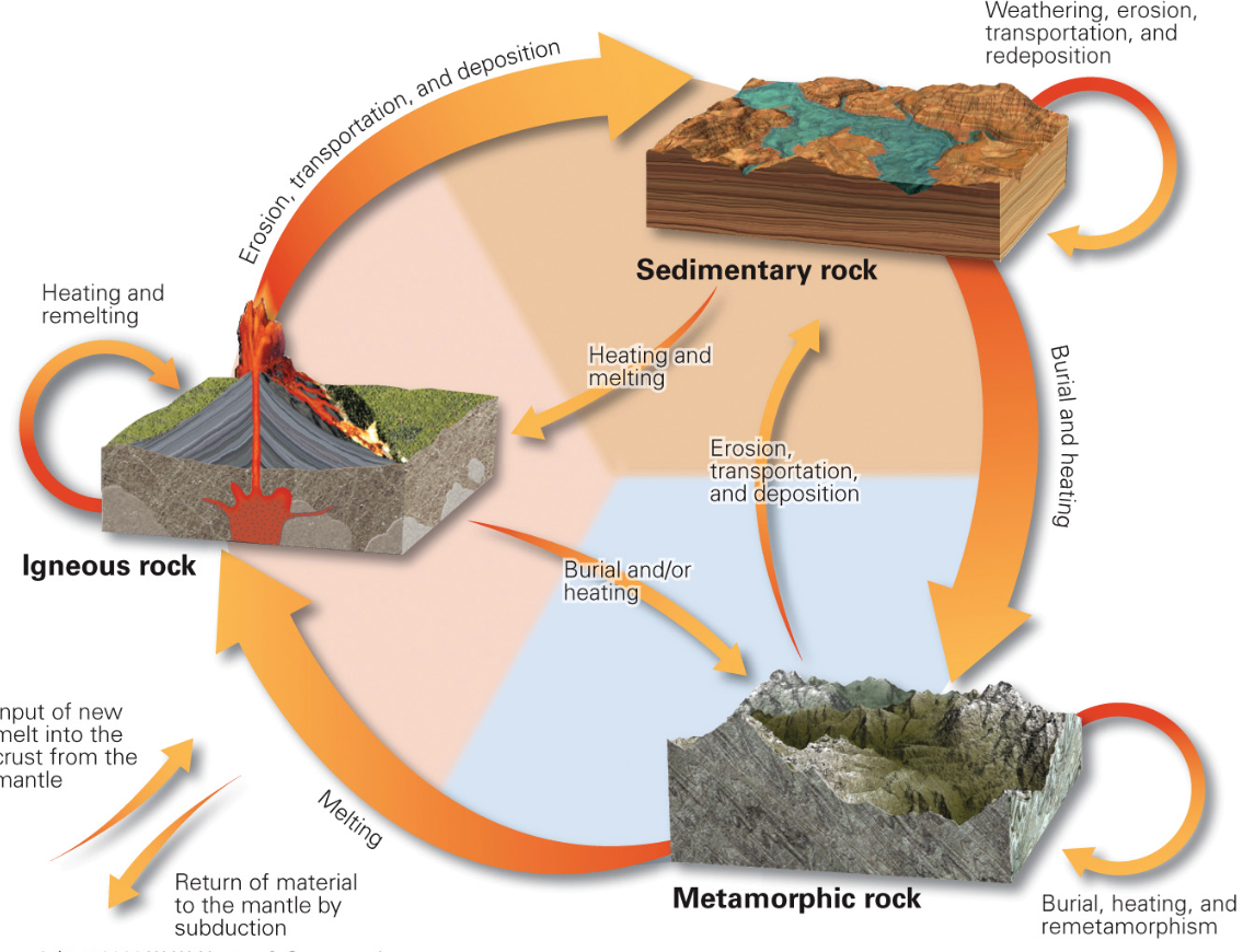 <p><span>Which cycle in the Earth System is illustrated in the below figure?</span></p>