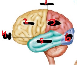 <p>5</p>