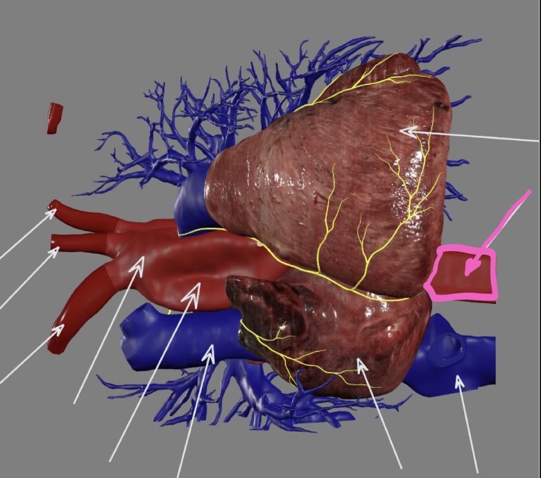 <p>What’s the highlighted area?</p>