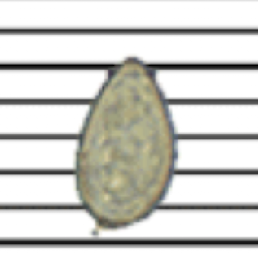 <p>What fluke is this?</p>