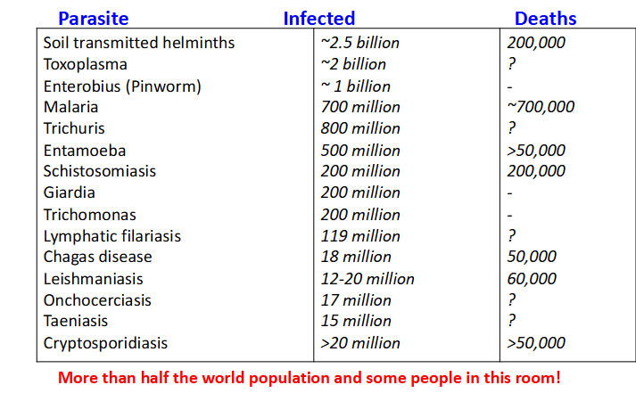 <p>Are parasites a serious problem</p>