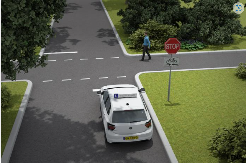 <p>Should you give way to the pedestrian?</p>