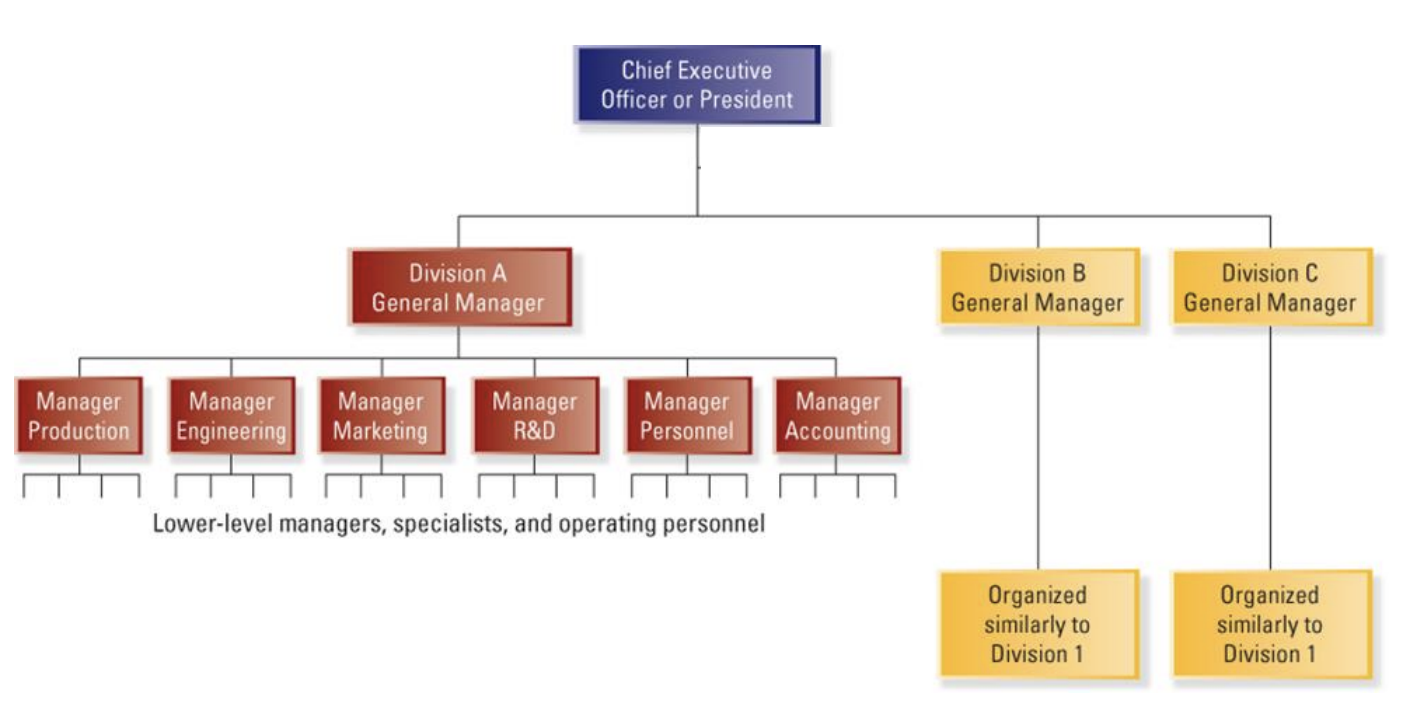 <ul><li><p>Company has Separate Business Units (Divisions based on region, product etc.) → Each contain functions (Marketing/HR etc.)</p></li><li><p>Works for: Innovative, Large or International Organizations</p></li></ul><p></p>