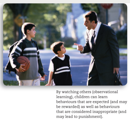 <ul><li><p>Children learn from watching others</p></li></ul><p></p><ul><li><p><em>Imitation</em>: performing actions they see are rewarding (e.g., doing chores) </p></li></ul><p></p><ul><li><p><em>Counterimitation</em>: learning what should not be done</p><ul><li><p>E.g., Learning to not skip school when older sibling is punished for doing so</p></li></ul></li></ul><p></p>