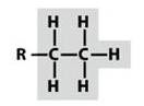 <p>-a chain of 2 carbons saturated with hydrogens</p>