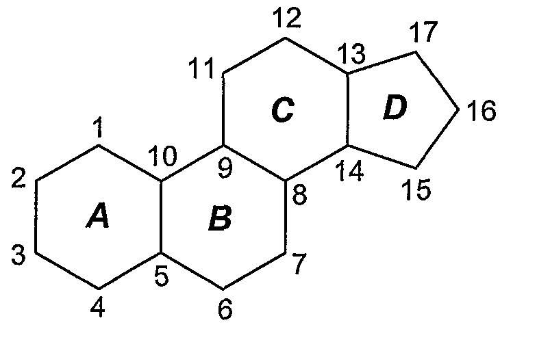 <p>Cyclopentanoperhydrophenanthrene ring</p>