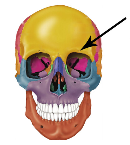 <p>Name this hole? R/L</p>