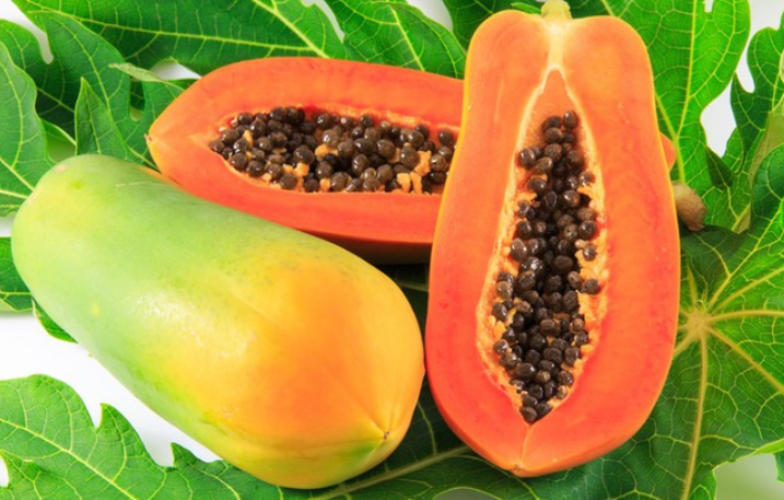 <p>Papaya</p>