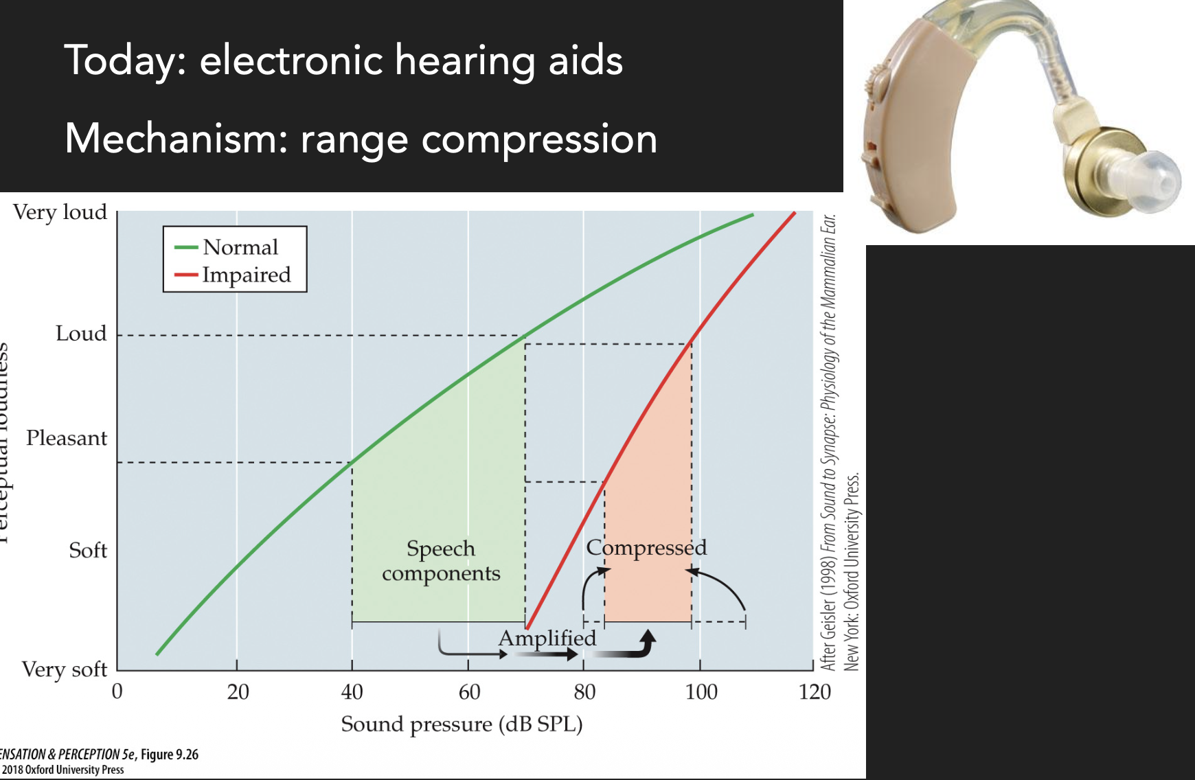 <p>Hearing aids take important bits of frequencies in quieter sounds that people with hearing loss can’t pick up on, compress the sound and <strong>shifts it to frequencies</strong> that the person can hear. </p>