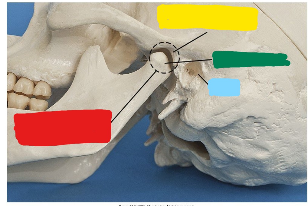 <p>What is Green?</p>