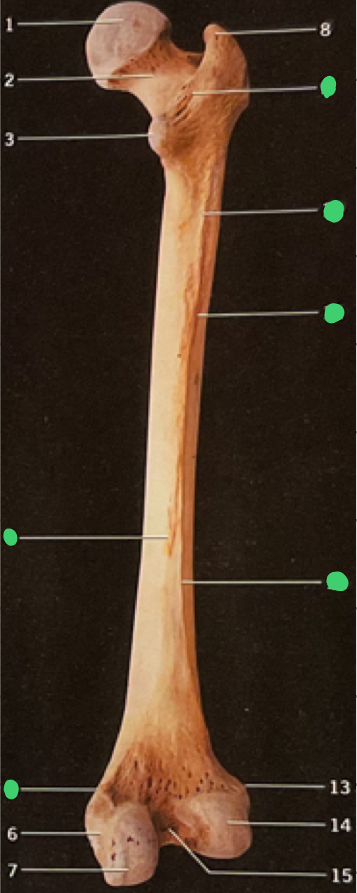 <p>1</p>