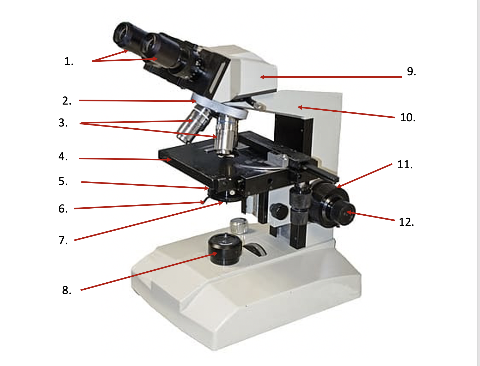 <p>Arm</p>