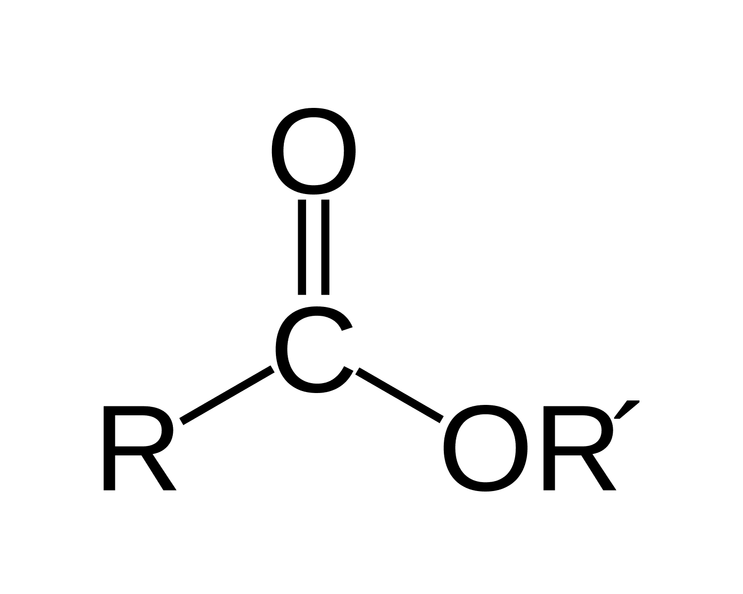 <ul><li><p>carbonyl group bonded to an O-C bond</p></li><li><p>polar but can’t hydrogen bond</p></li></ul><p></p>